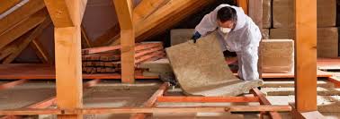 Best Eco-Friendly or Green Insulation Solutions  in Tangerine, FL